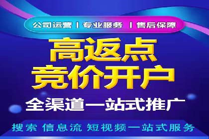 竞价代运营实战案例深度剖析